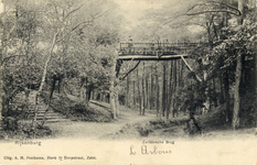 10106 Gezicht op de Zwitserse brug boven een spreng in een gemengd bos bij Driebergen. N.B.De gemeenten Driebergen en ...